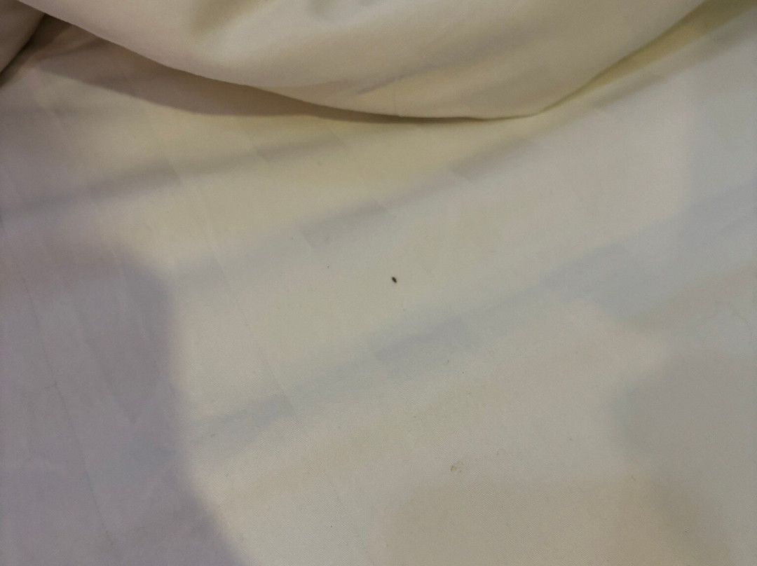 曼陀罗楼酒店主图