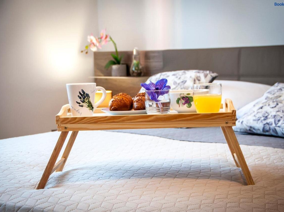 Rovinjsko Selo酒店住宿-Apartment & Rooms Graciela