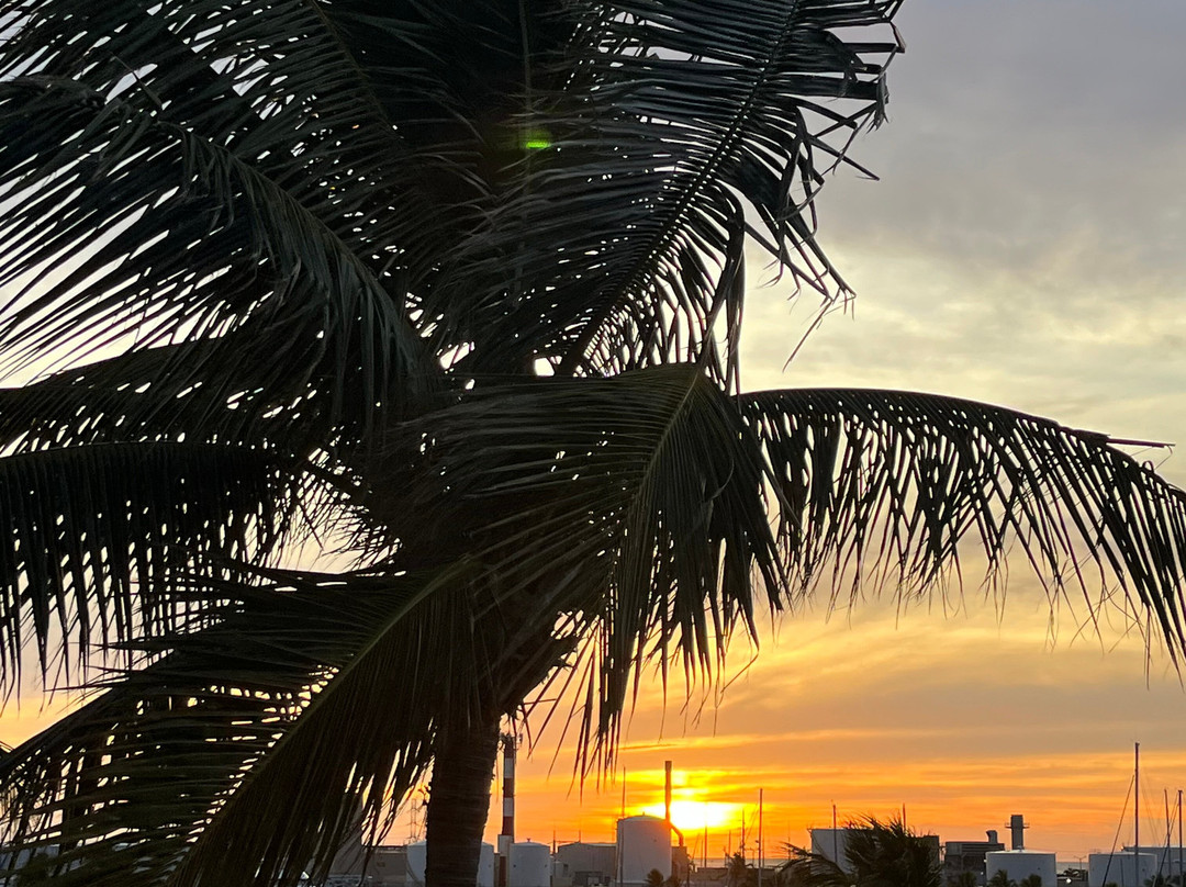 The Perry Hotel Key West主图