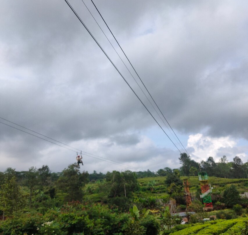 Agrowisata GUNUNG MAS Kebun Teh Walini-本哲必去景点