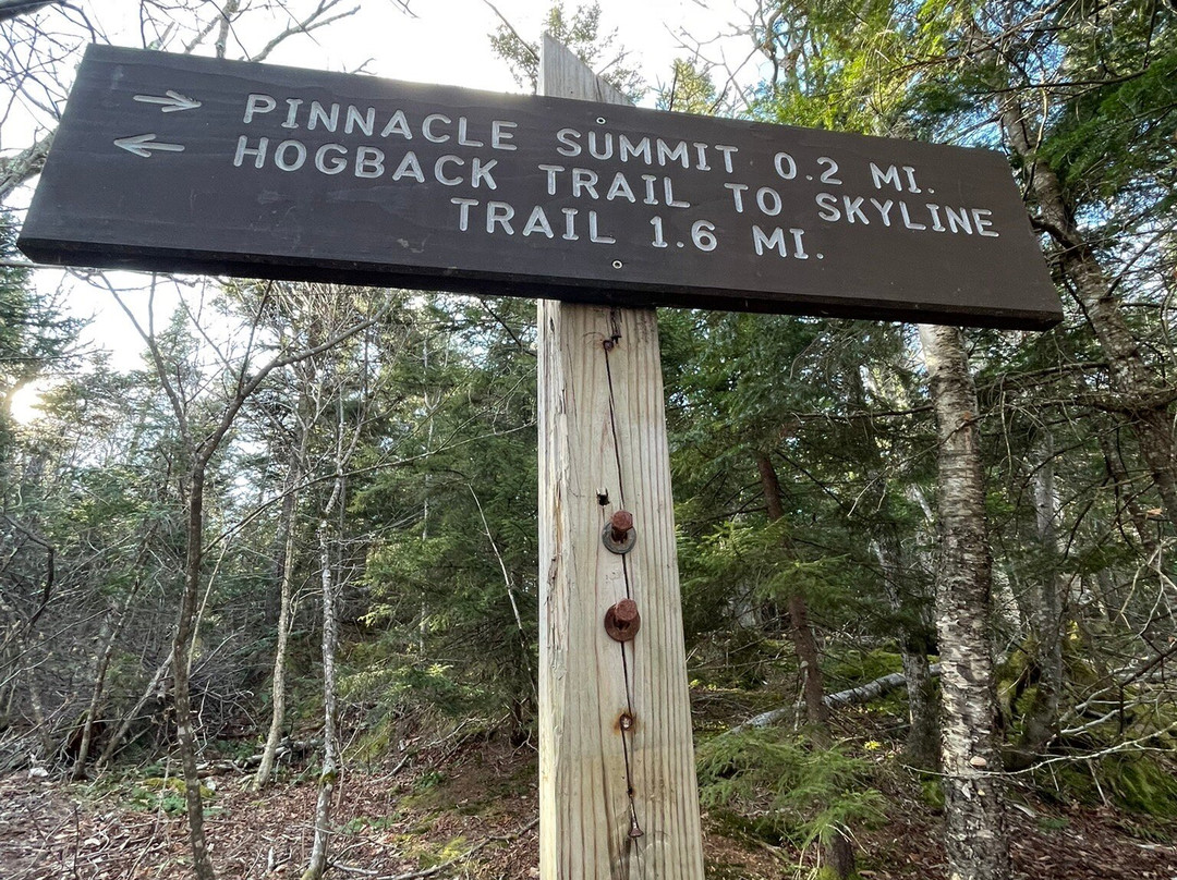 Stowe Pinnacle-斯托必去景点