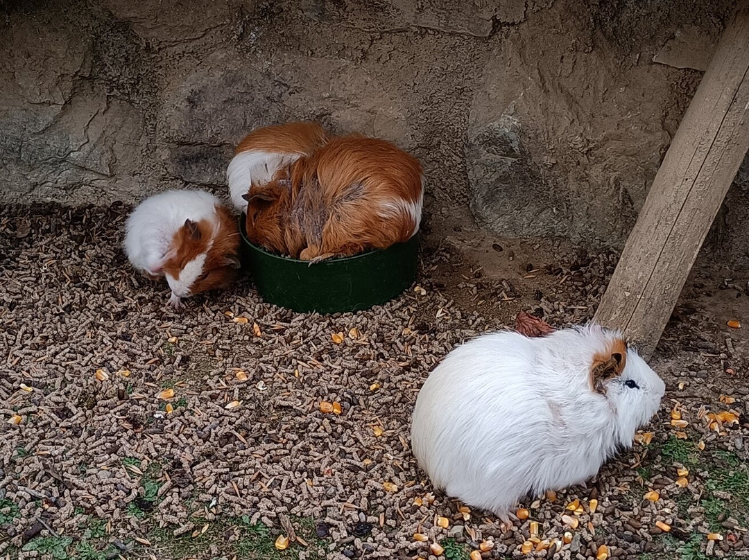 Mollo Parc-Mollo必去景点