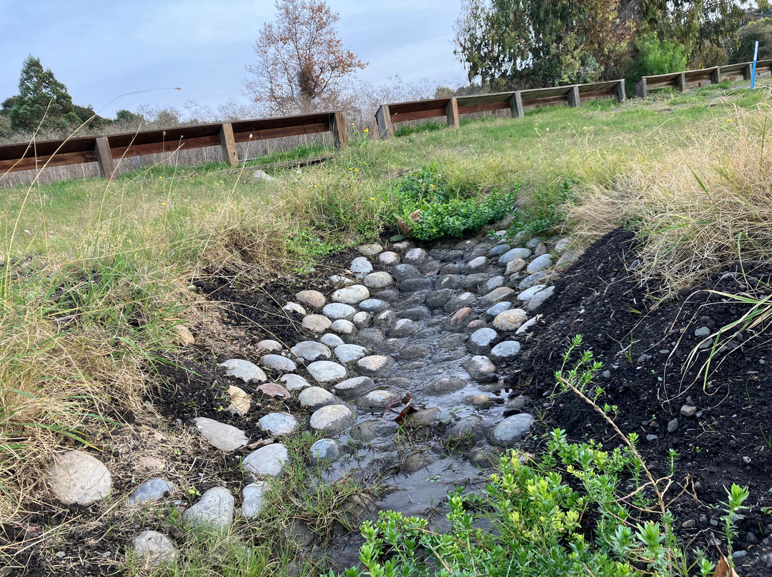 艾德莱文县公园-米尔皮塔斯必去景点