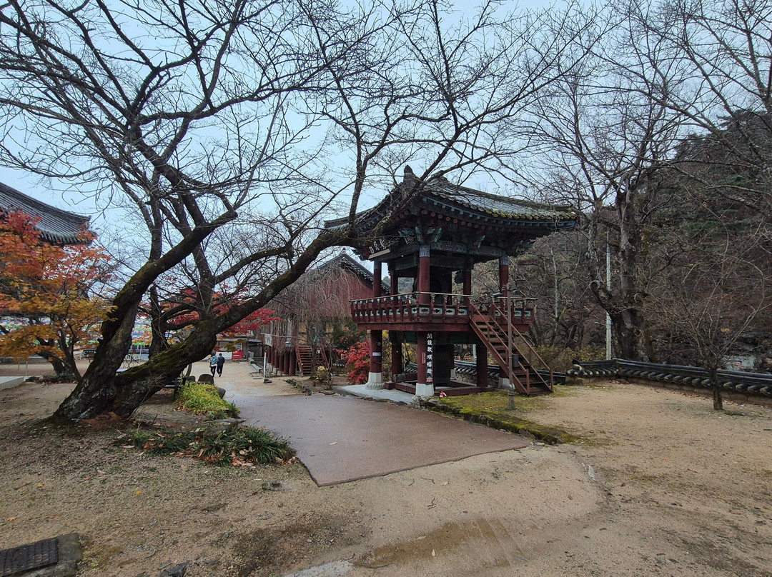 Eunhaesa Temple-永州市必去景点