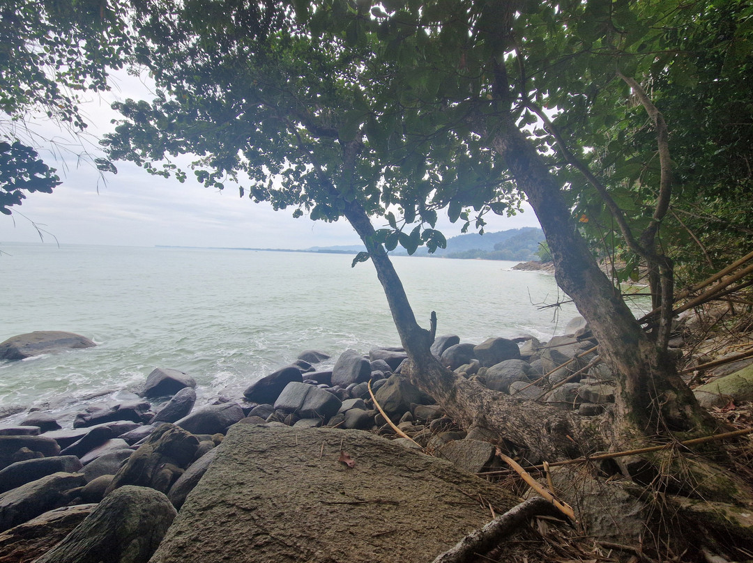 Khao Lak-Lam Ru National Park景点图片