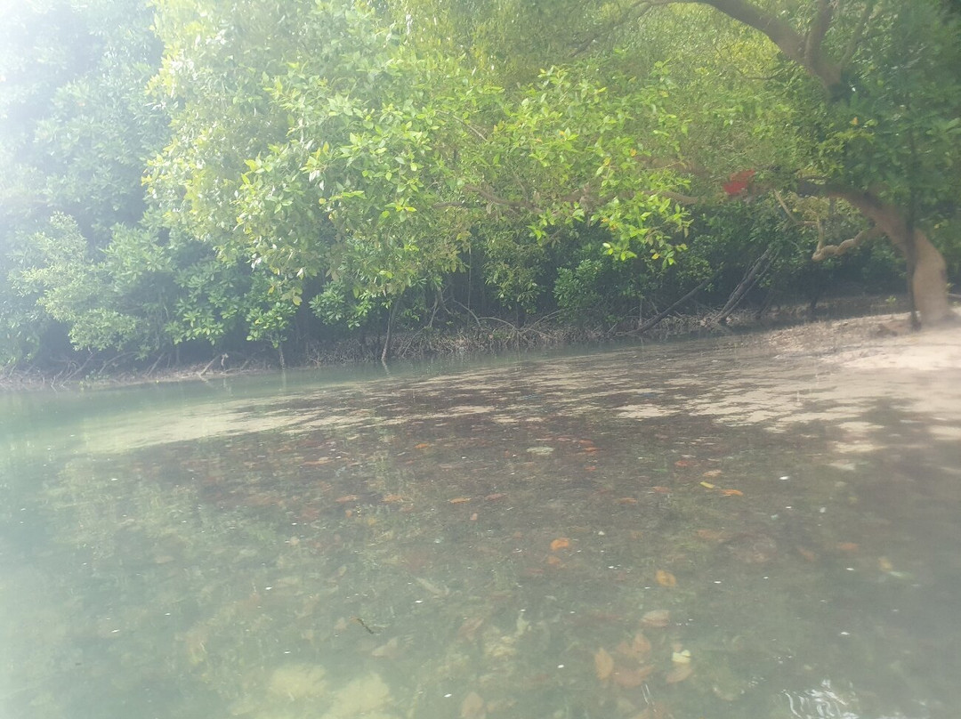 Ally Kayak-米查维必去景点