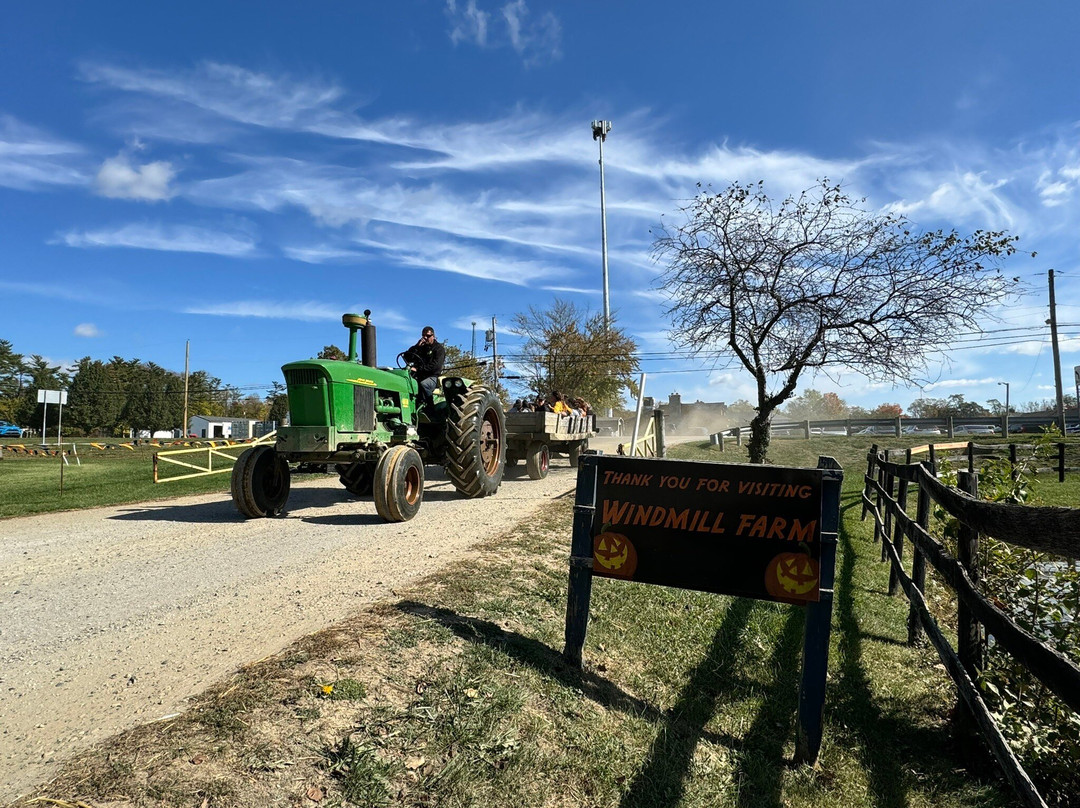 Windmill Farm Market-Springboro必去景点