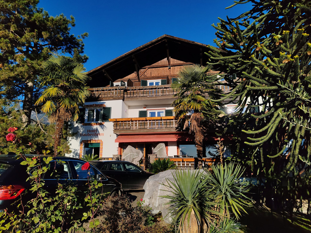 Hotel Traubenheim主图