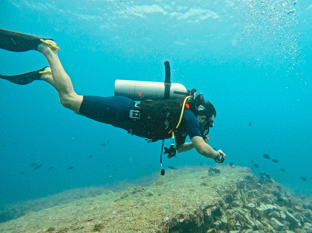 Dive Tribe景点图片