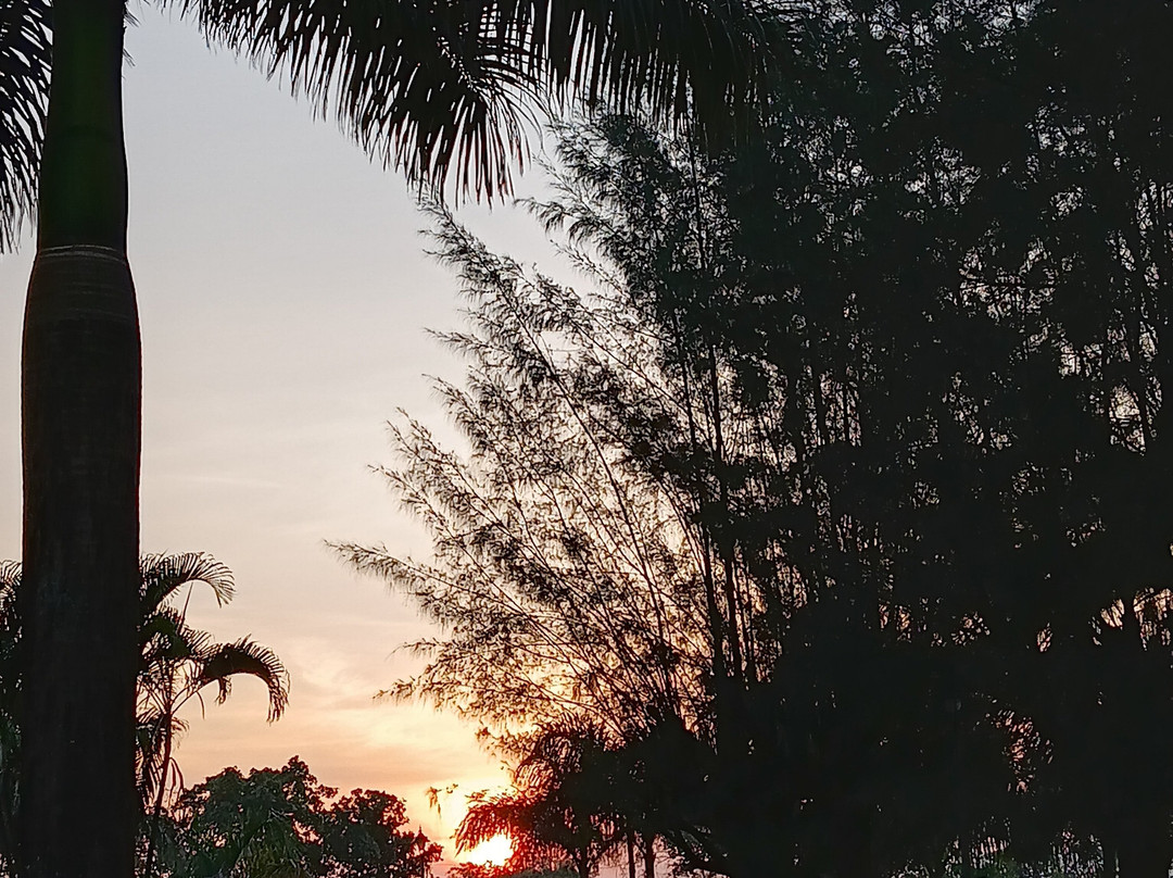 Patang Residency主图