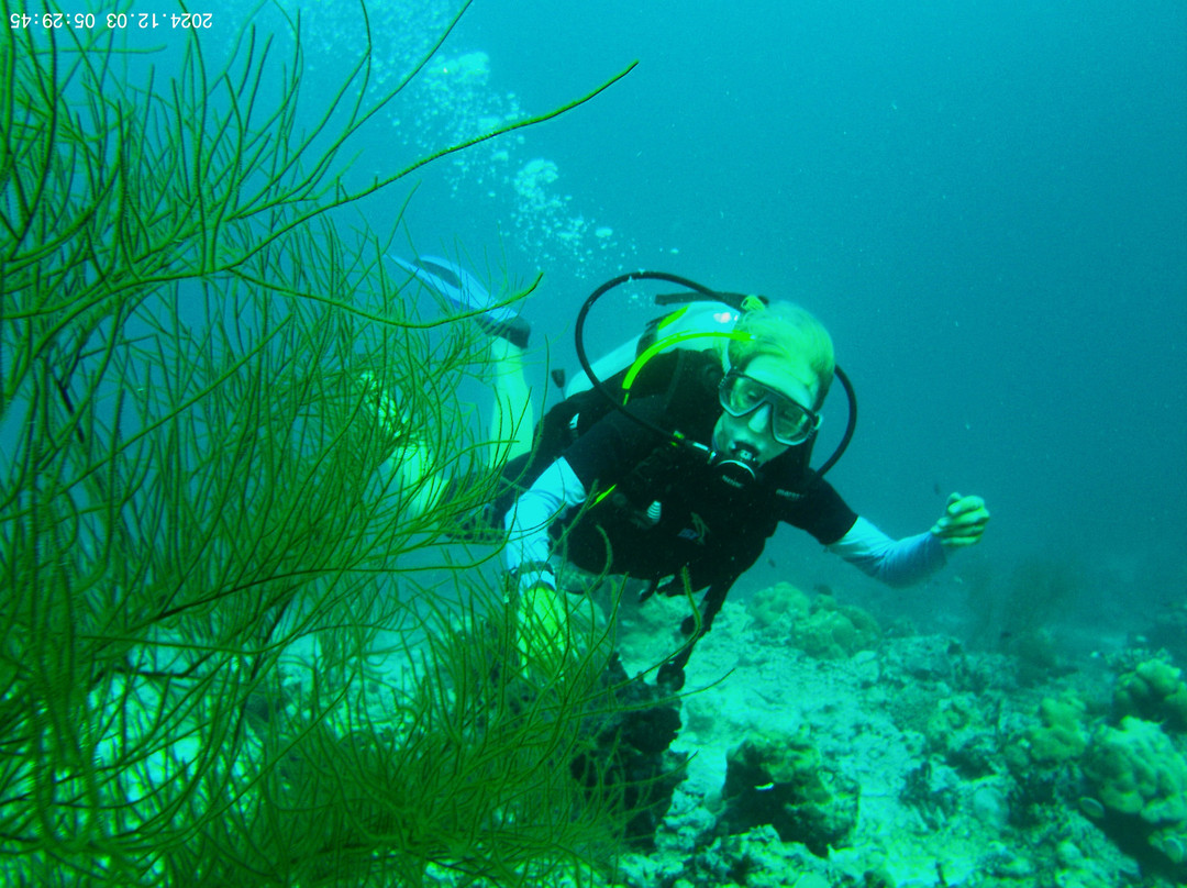 Meridis Dive and Water Sports at Cocogiri景点图片