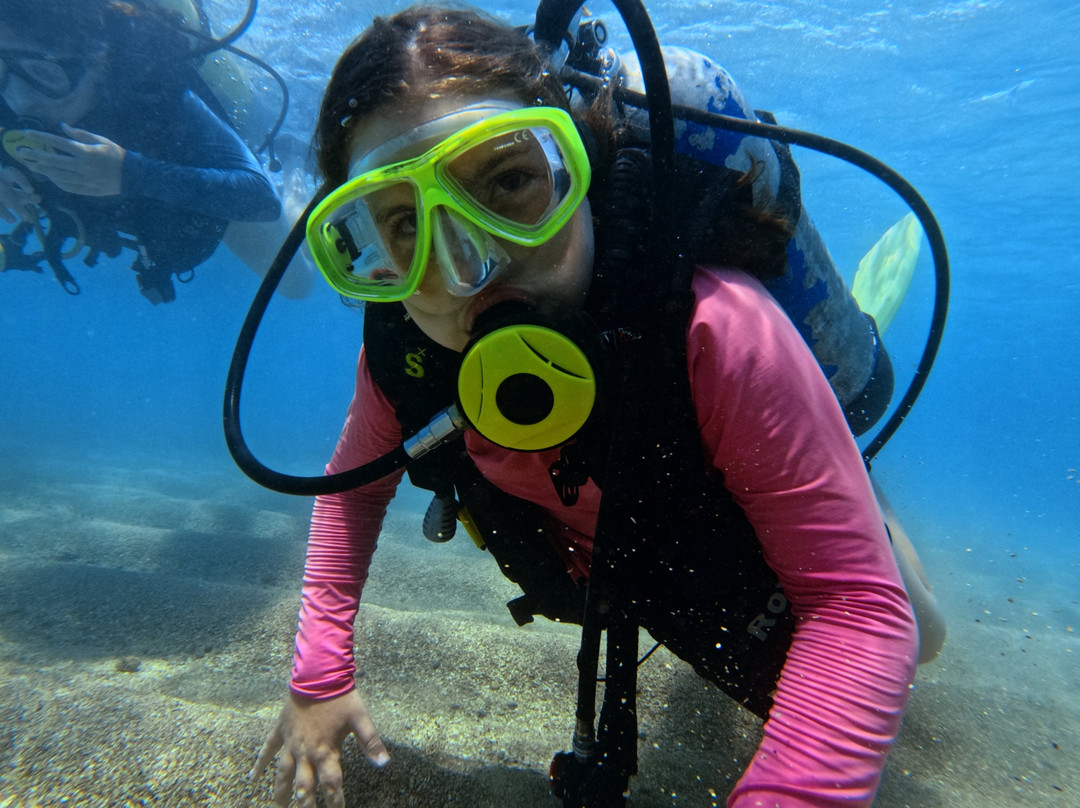 Mergulho Mágico-São José da Coroa Grande必去景点
