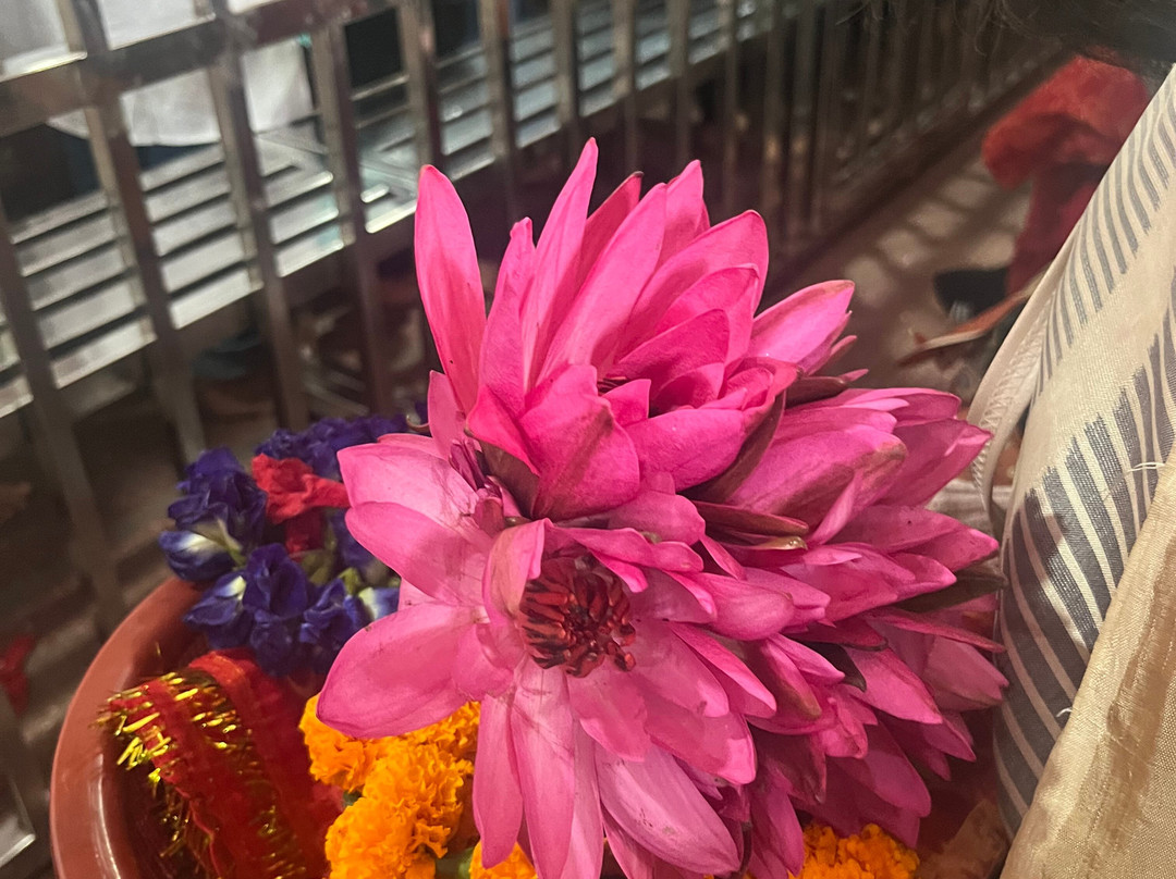 Free Folk-古瓦哈提必去景点