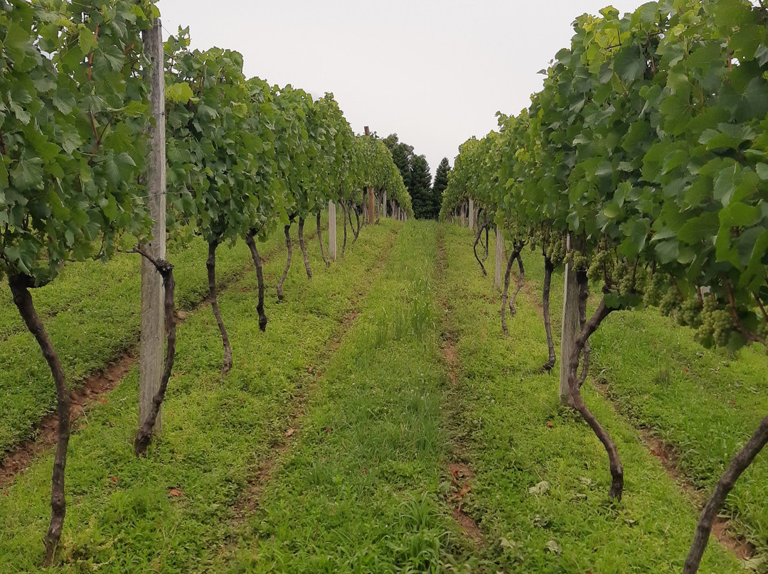 Casa Seganfredo-格拉玛多必去景点