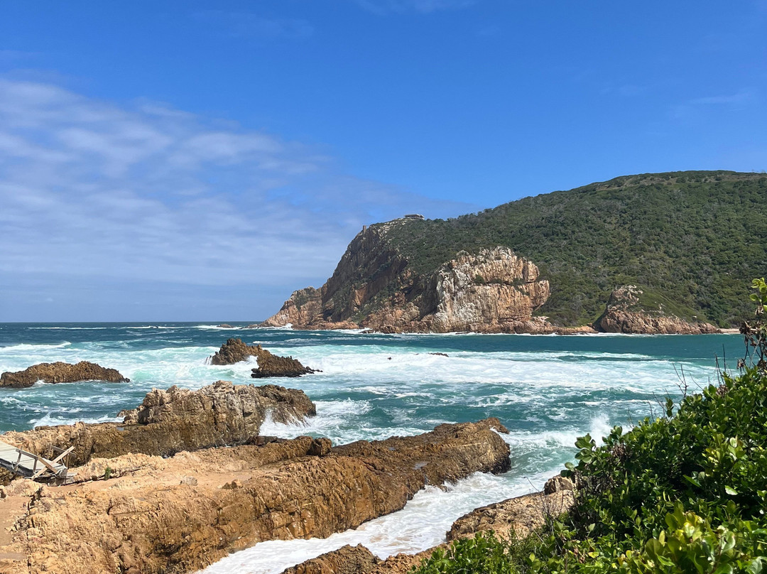 Wilderness Express Tours & Transfers-荒野必去景点