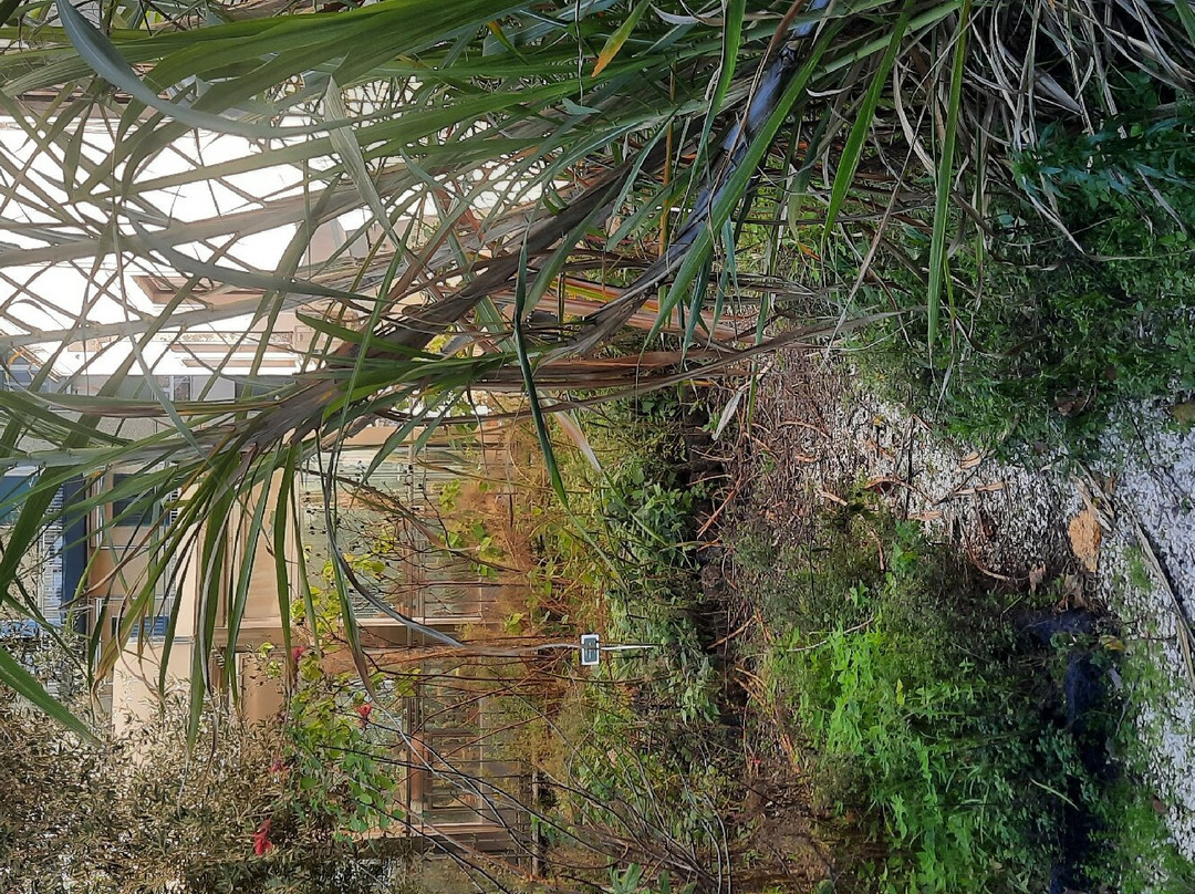 Orto Botanico dell'Università di Catania景点图片