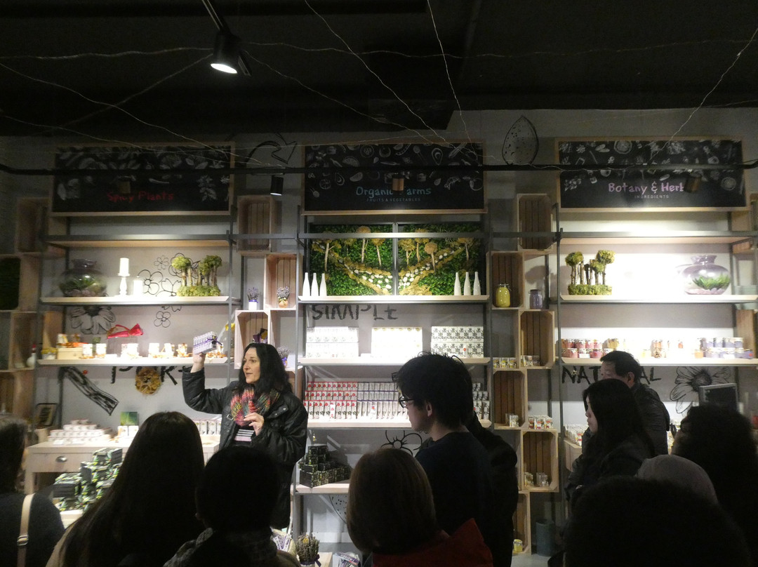 Stella Croatica景点图片