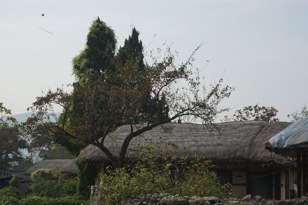 Oeam Folk Village-牙山市必去景点