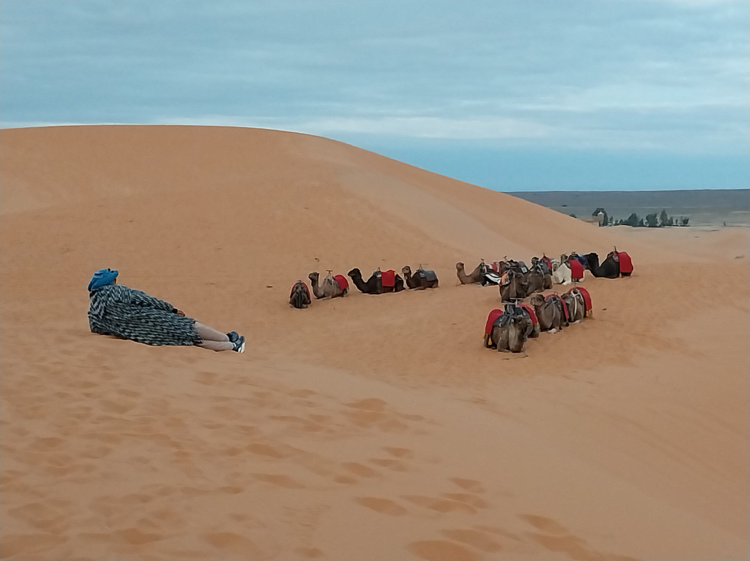 Alid Tours-Rissani必去景点