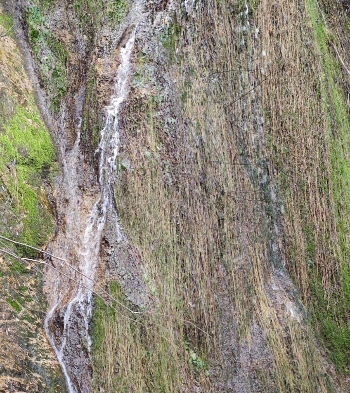 Font d'en Torres主图