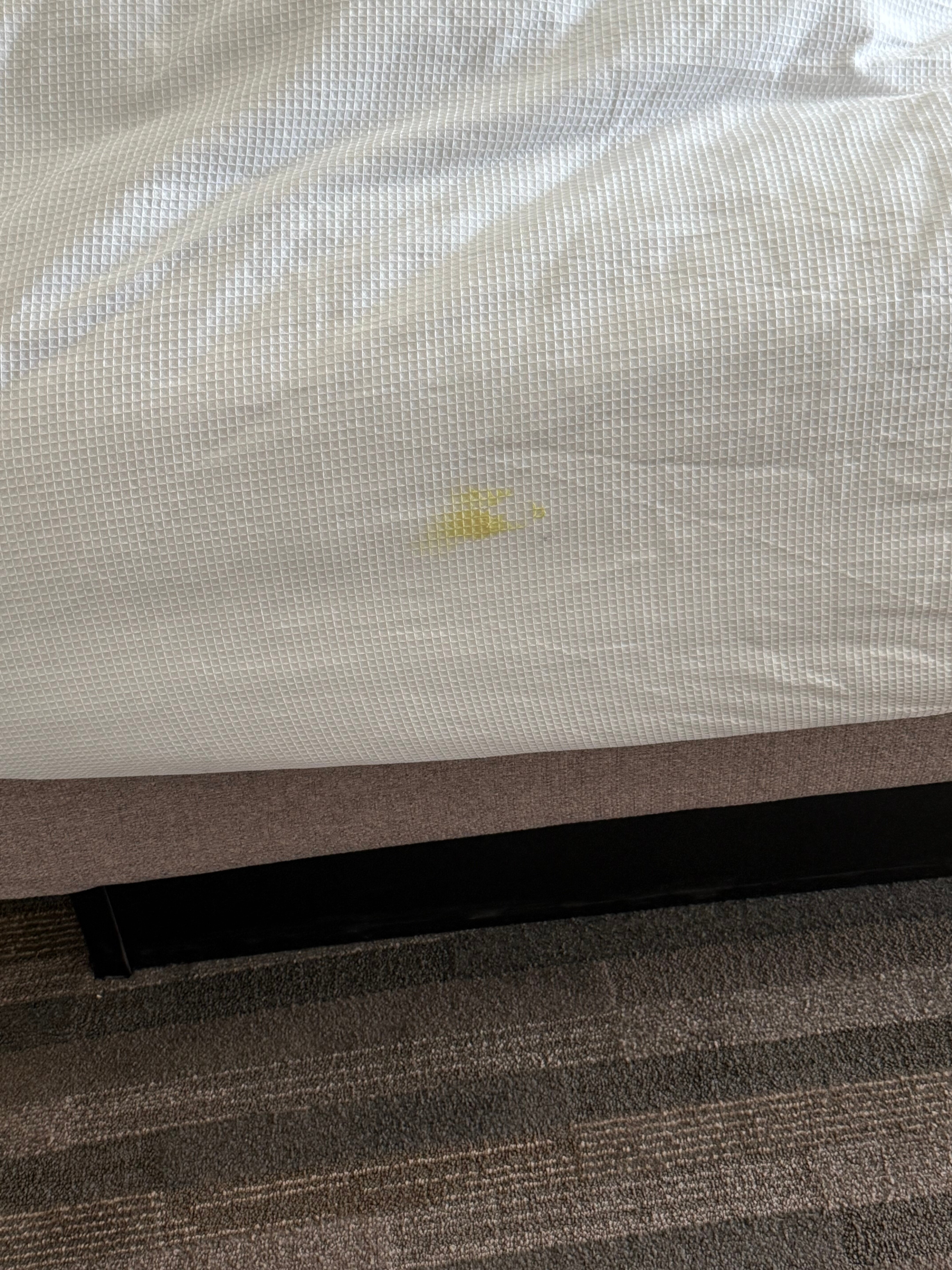Hyatt House Tallahassee Capitol-University-官方