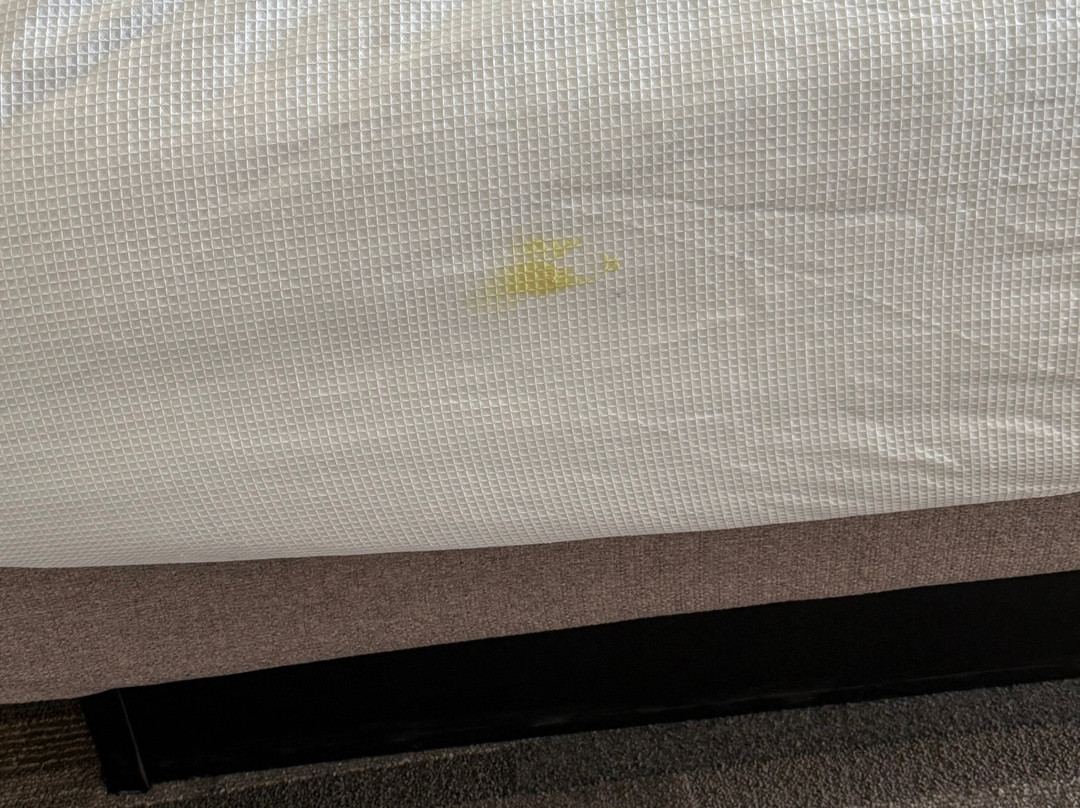 Hyatt House Tallahassee Capitol-University主图