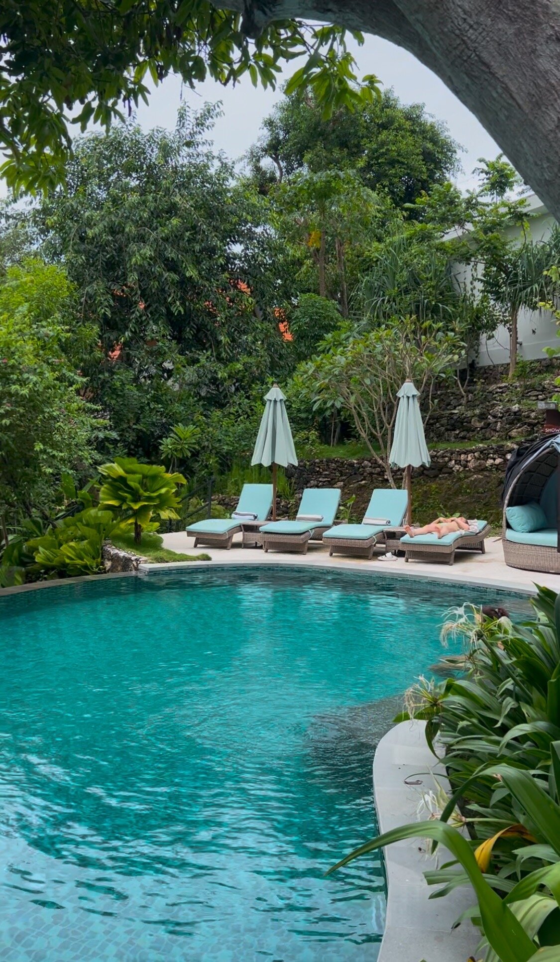 Deep Roots Dive & Yoga Resort-官方