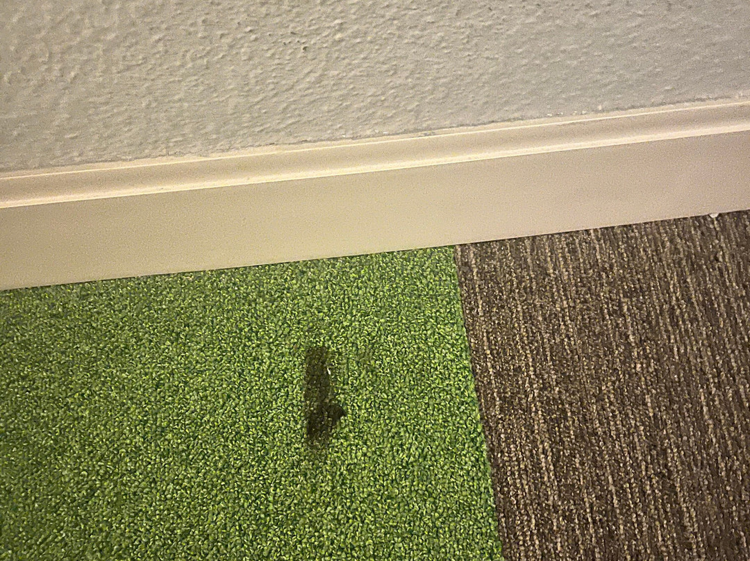 Hampton Inn Vidalia主图