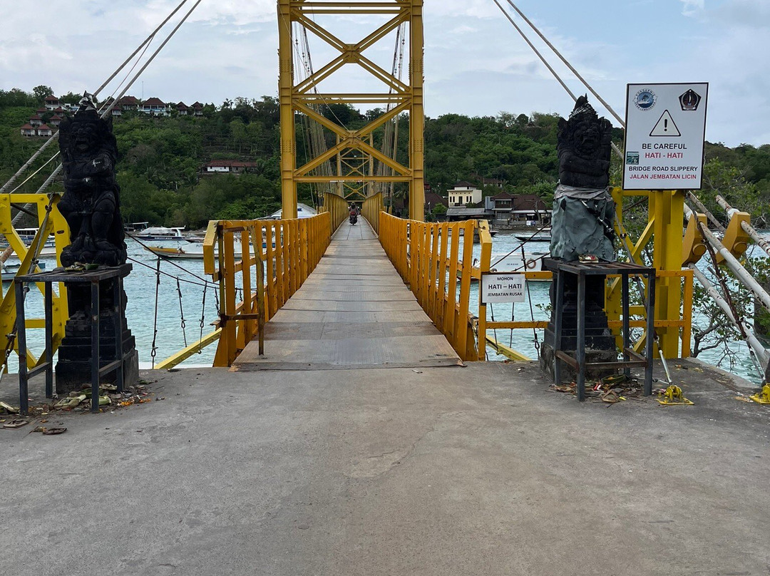 Best of Bali Tours-蓝梦岛必去景点