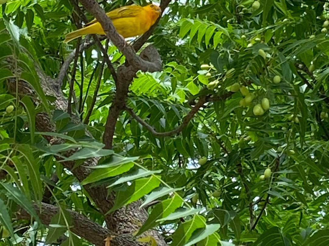 Monumento Cuarto Centenario-内瓦必去景点
