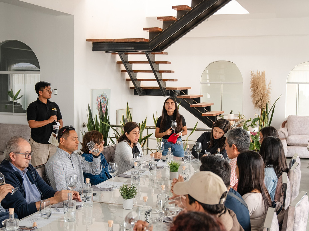 Viña D´los Campos-Nuevo Imperial必去景点