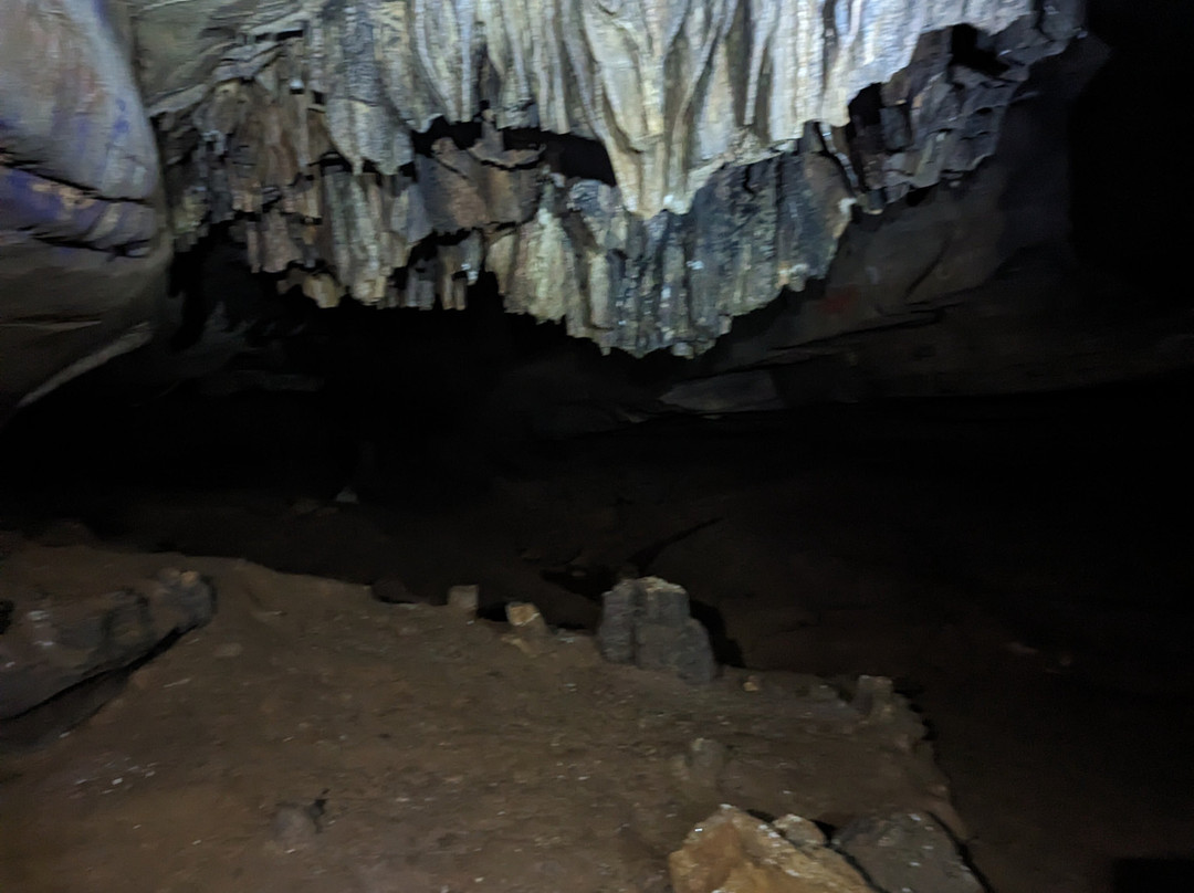 Howard's Waterfall Cave Preserve-Trenton必去景点