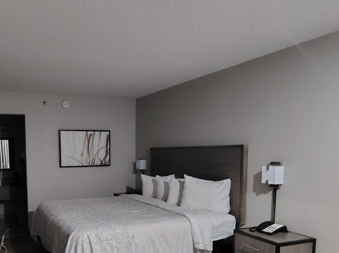 Red Roof Plus Dallas - Addison主图