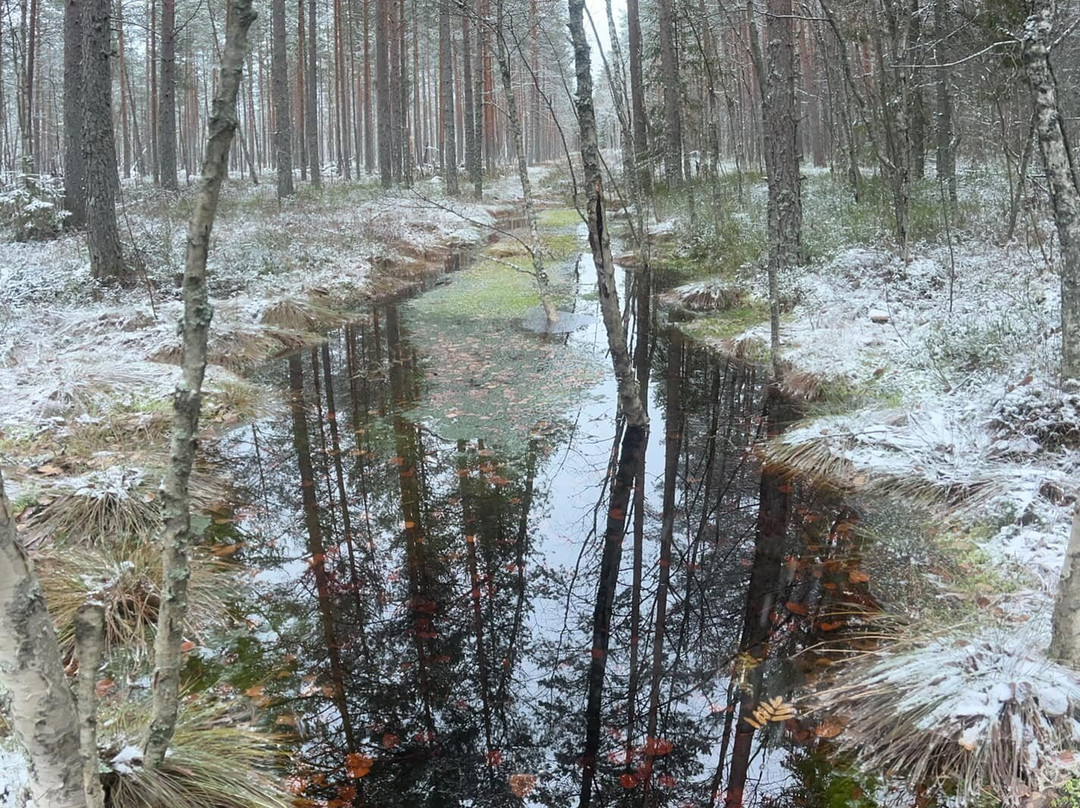 Seljamae Study Hiking Trail-Vinni必去景点