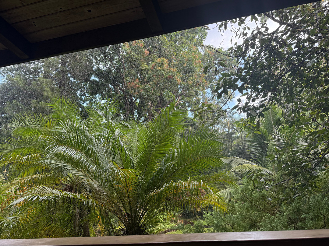 Kehena Mauka Nui Club Lgbtqia+ Clothing Optional