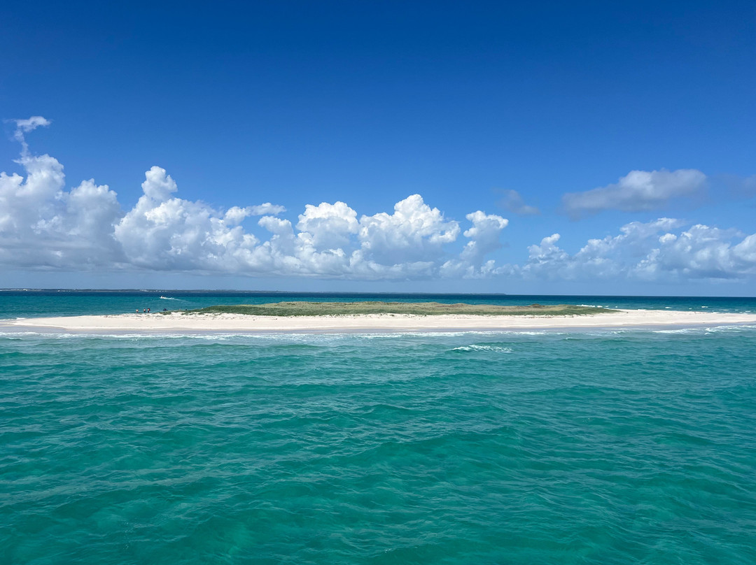 Hervey Bay Whale Watch景点图片