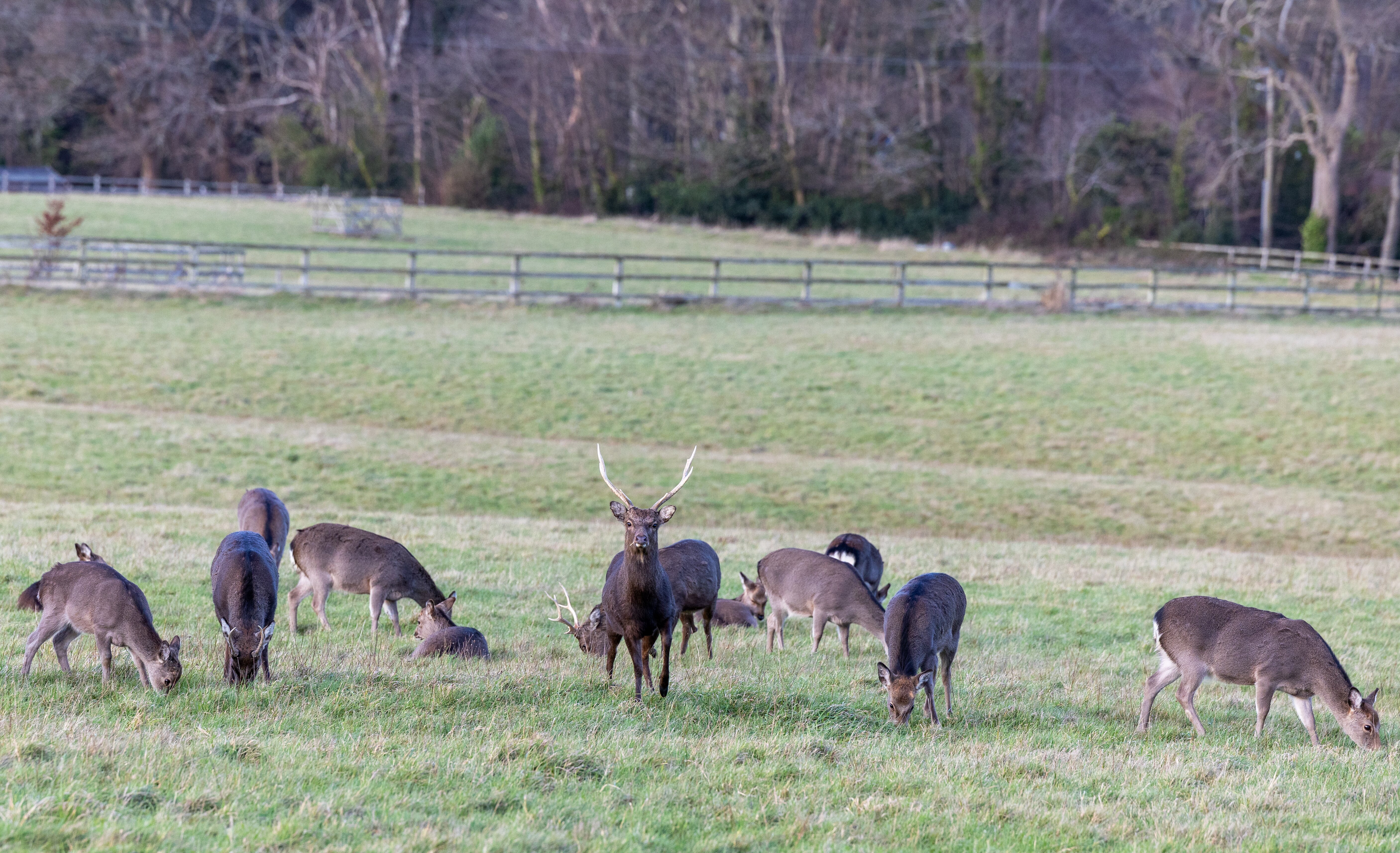 Powerscourt Springs Health Farm-浴室