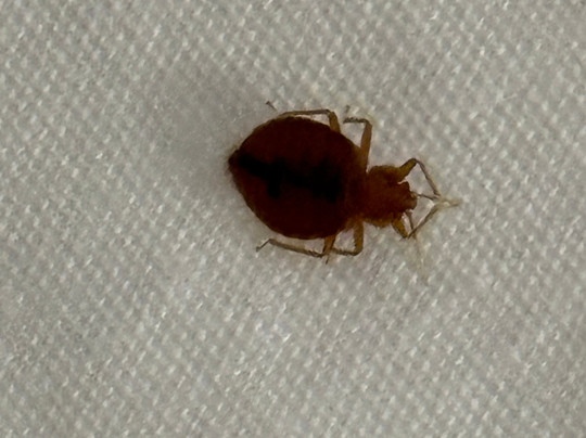 Comfort Suites Near Casinos主图