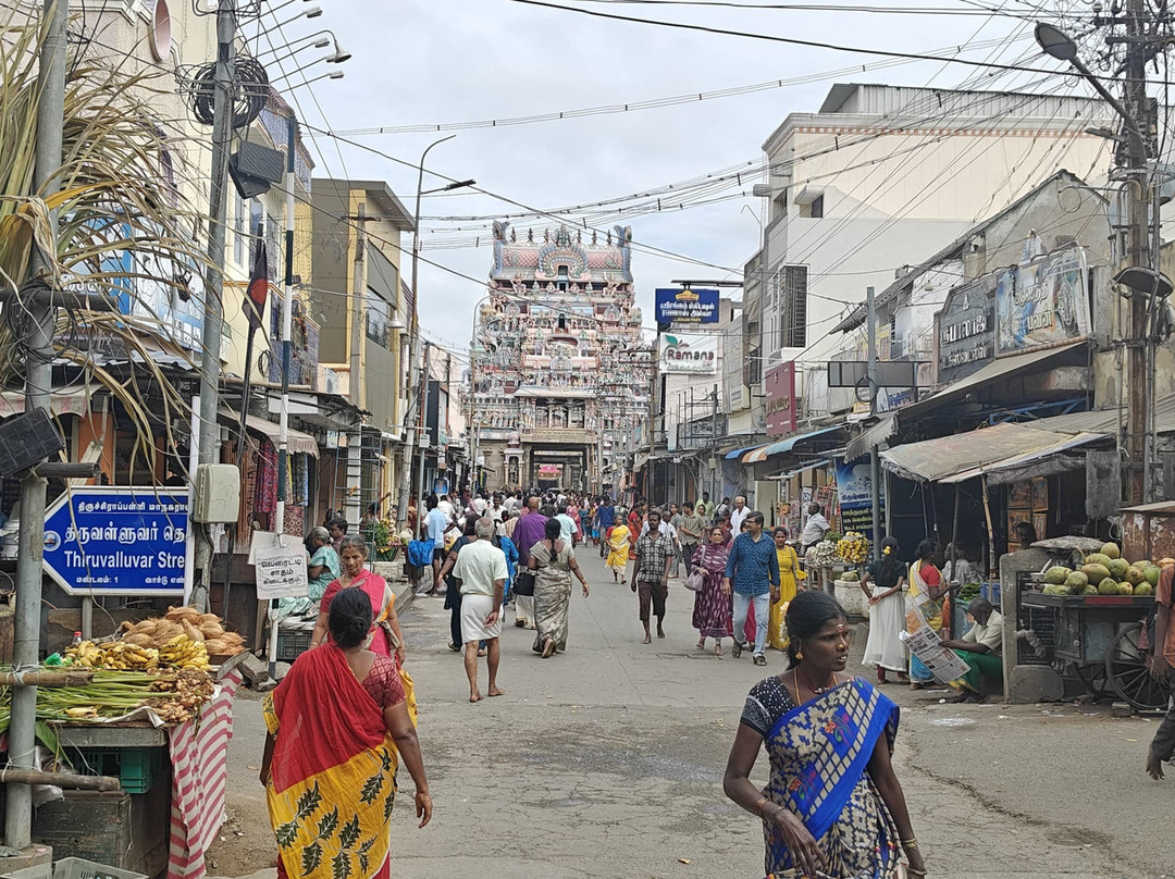 Sri Ranganathaswamy Temple景点图片