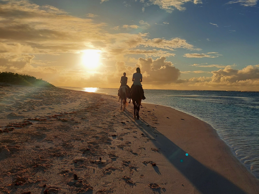 Francis Family Farm-Anegada必去景点