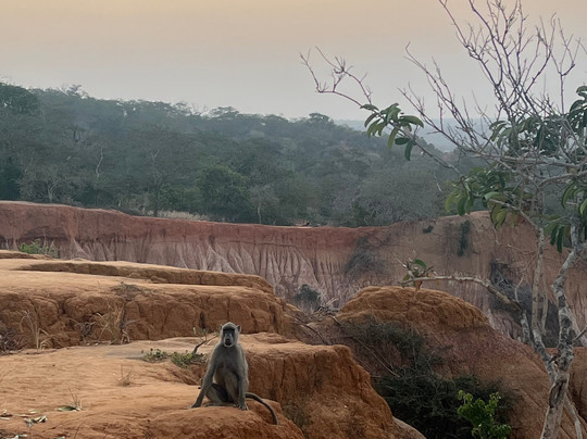 Kenya Classic Tour Travel-瓦塔木必去景点