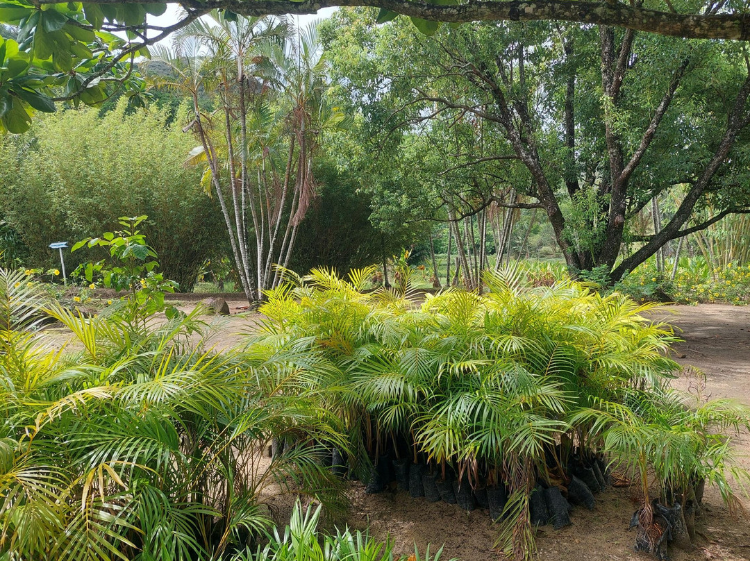 Domaine de la Cascade景点图片