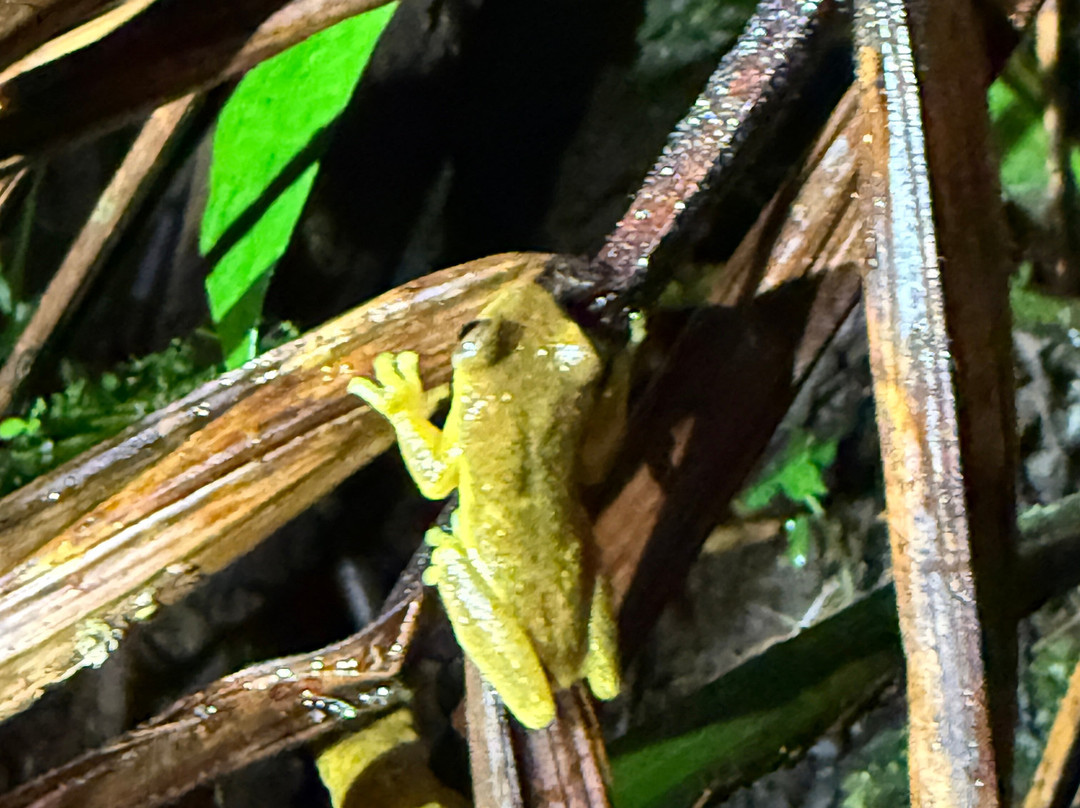 Ecuador Reptile Adventures景点图片