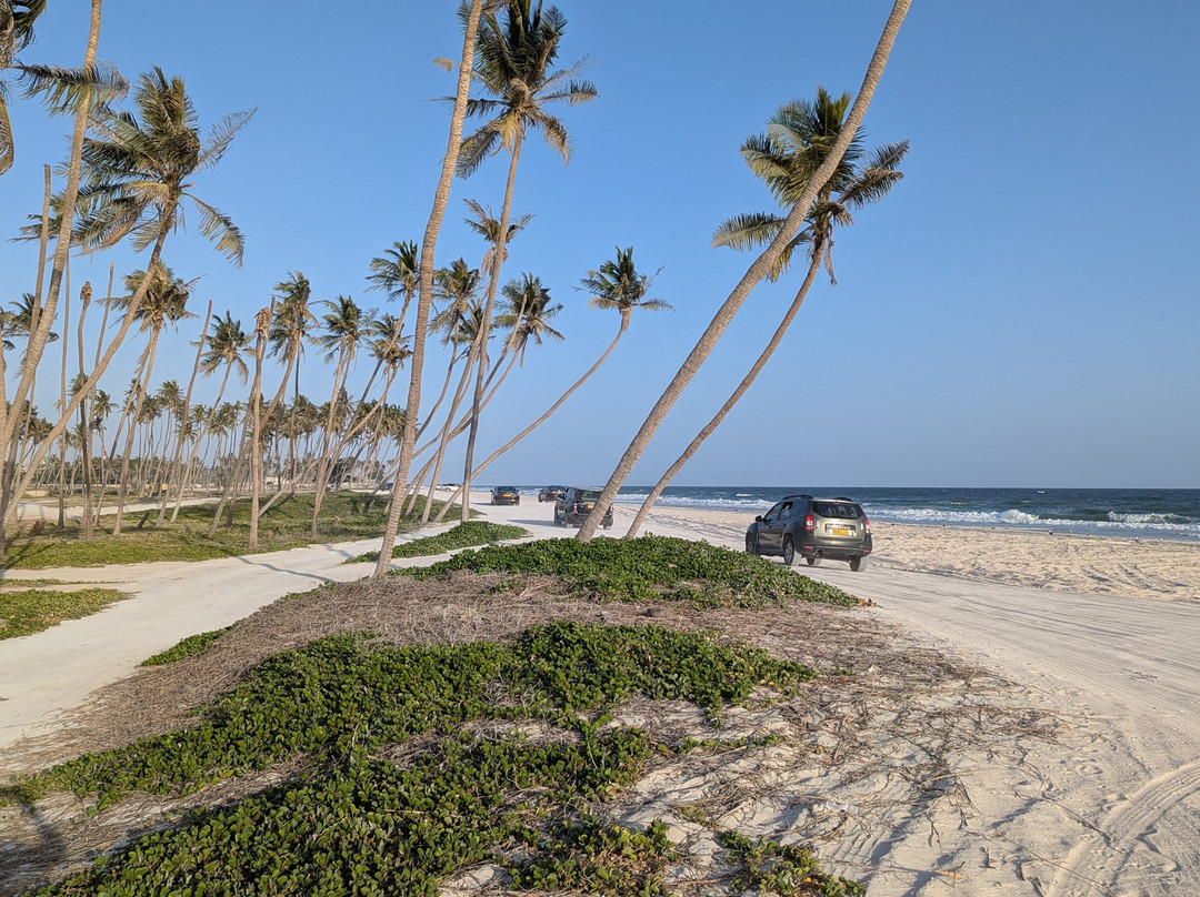 Uncle Said Salalah Tours-塞拉莱必去景点