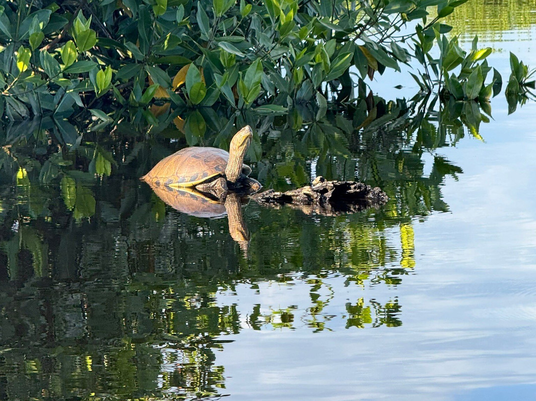 Laguna Ventanilla-Mazunte必去景点