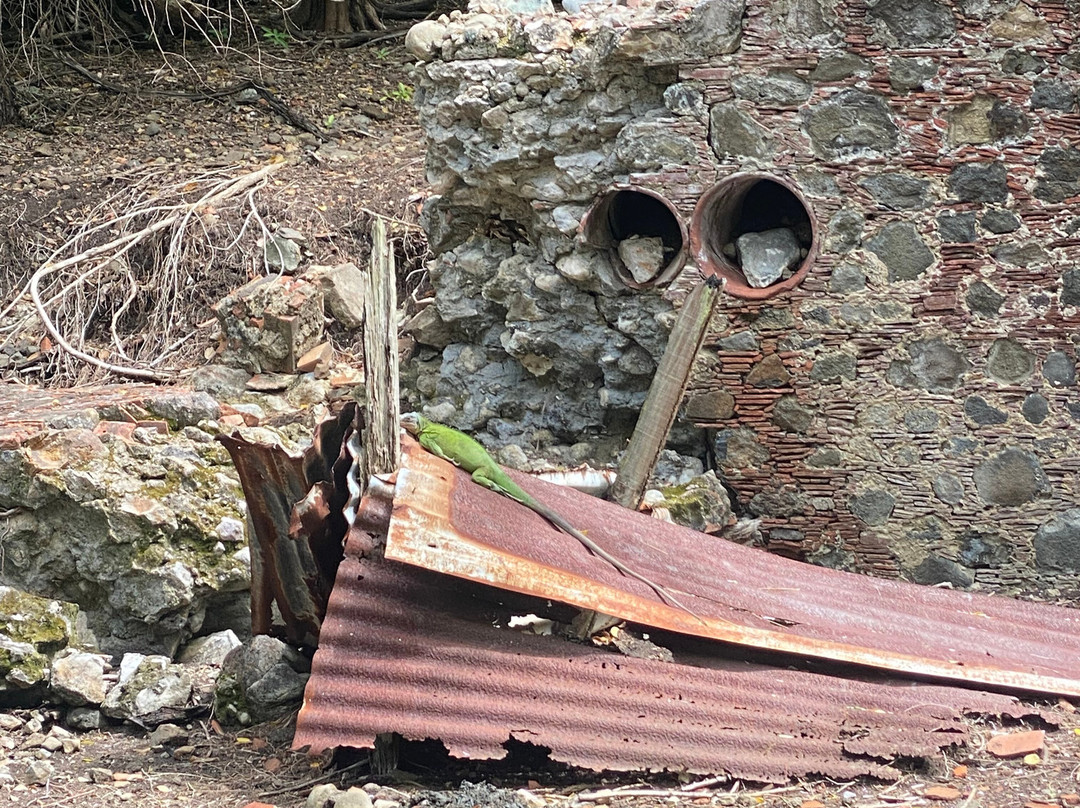 Captain Roro-Le Francois必去景点