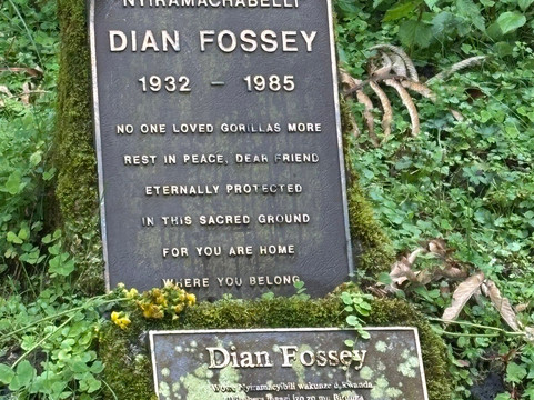 Antique Safari Adventures-恩德培必去景点