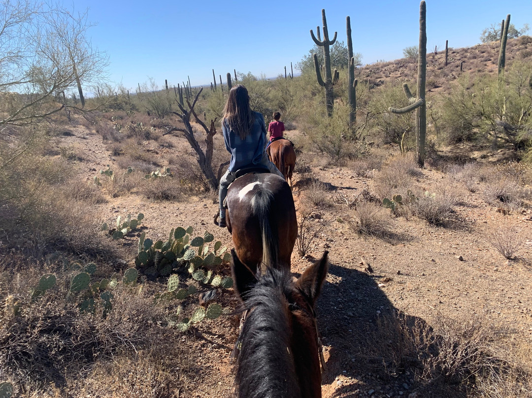 Don Donnelly's D-Spur Ranch and Stables-Gold Canyon必去景点