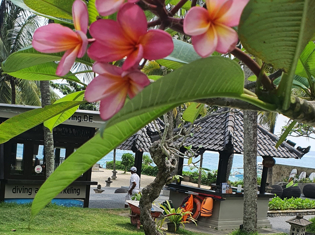 坎迪海滩小屋主图