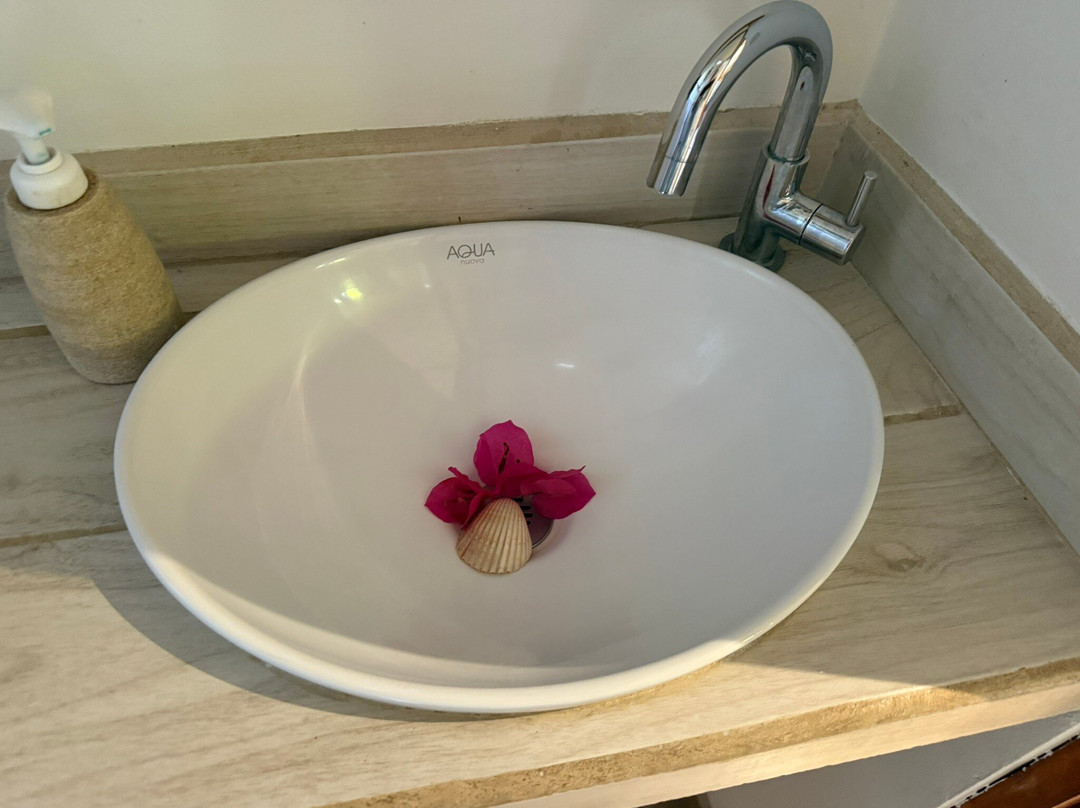 Samara Palm Lodge主图